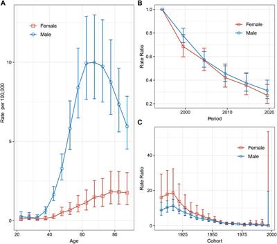 Evolution of Esophageal Cancer Incidence Patterns in Hong Kong, 1992-2021: An Age-Period-Cohort and Decomposition Analysis